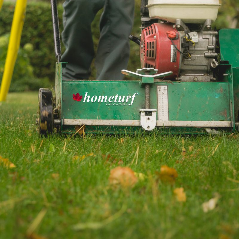 Fall is the best time to dethatch your lawn | Hometurf