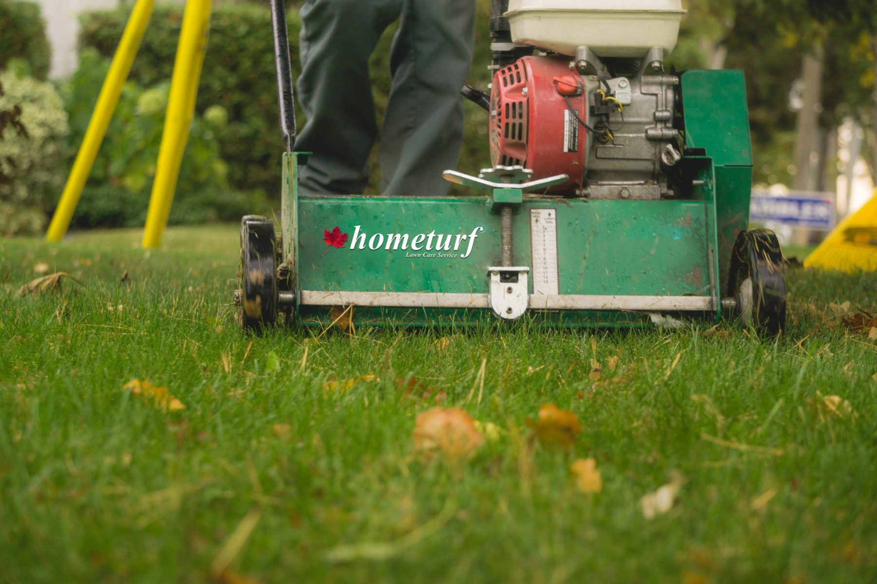 Read more about the article Fall is the best time to dethatch your lawn