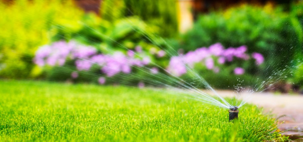 Lawn watering tips