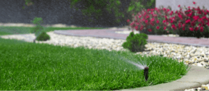 Sprinklers watering a lawn