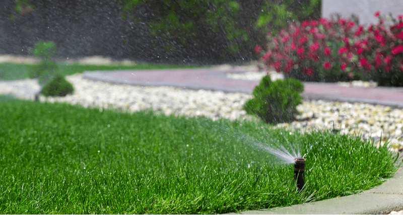 How Often Should You Water Your Lawn - Lawn Care Tips