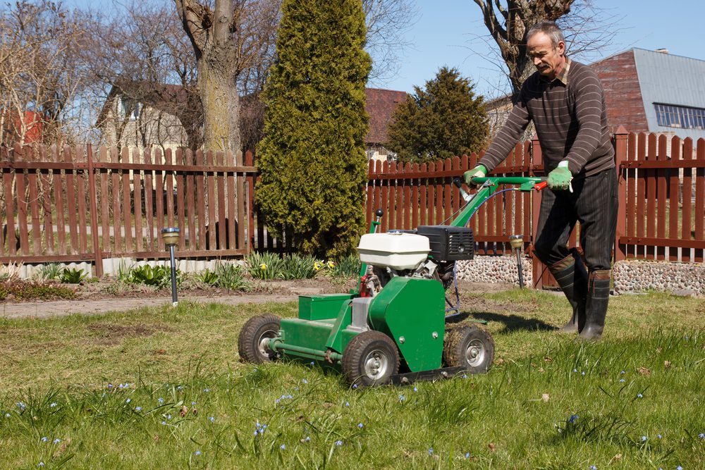 Tips for overseeding your lawn