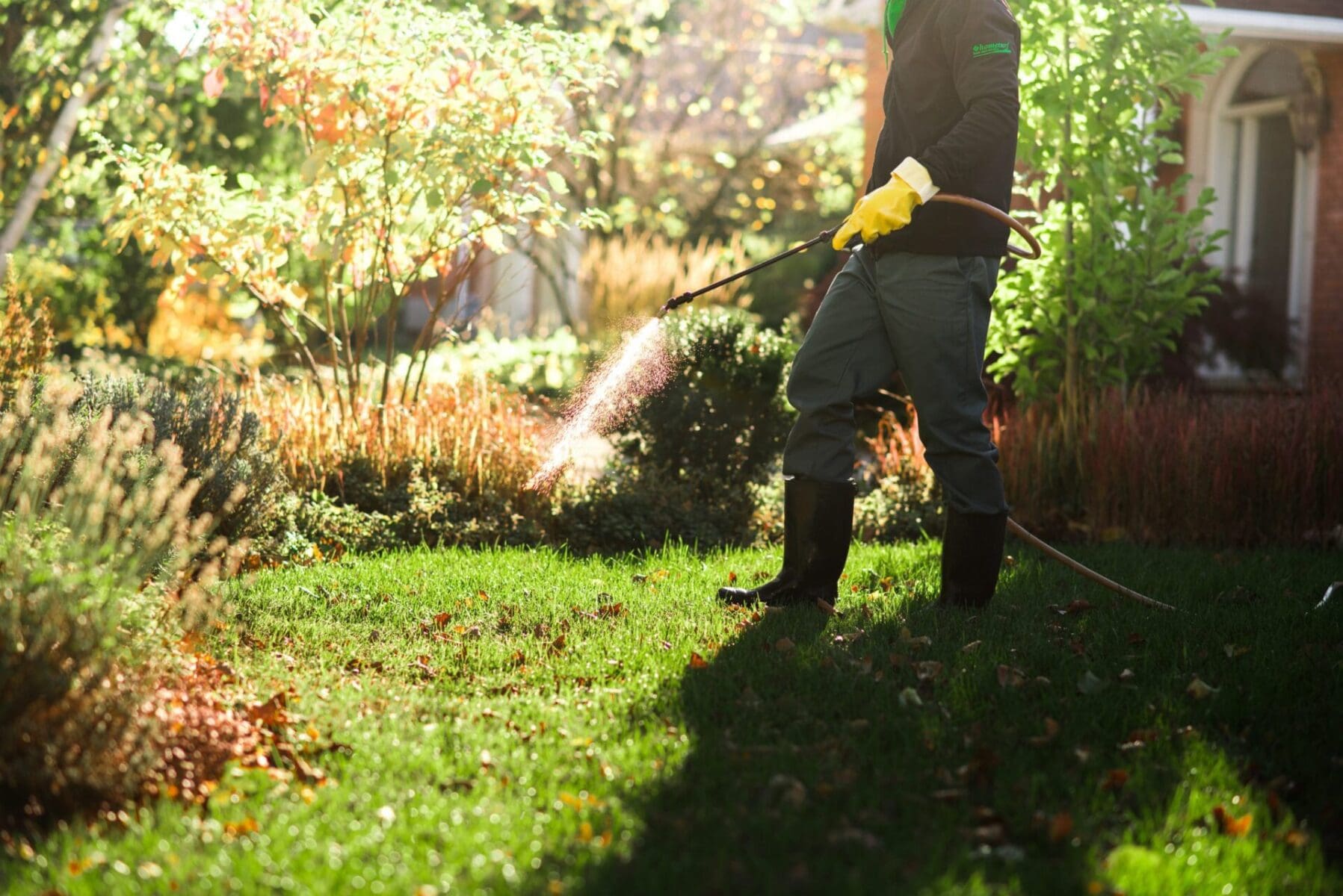 Read more about the article Getting to Know Your Weeds