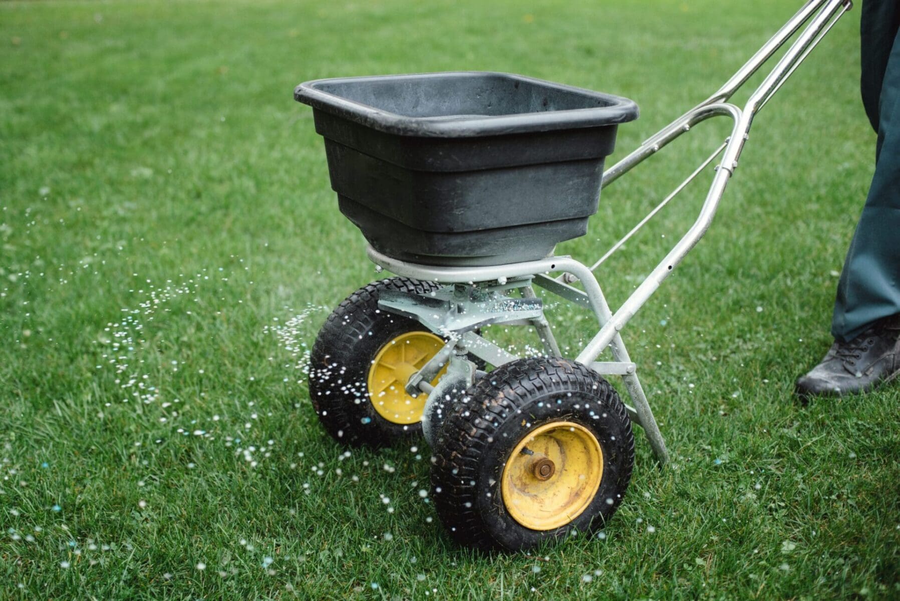 Read more about the article Caring for the Earth with Hometurf’s All-Natural Lawn Care Services