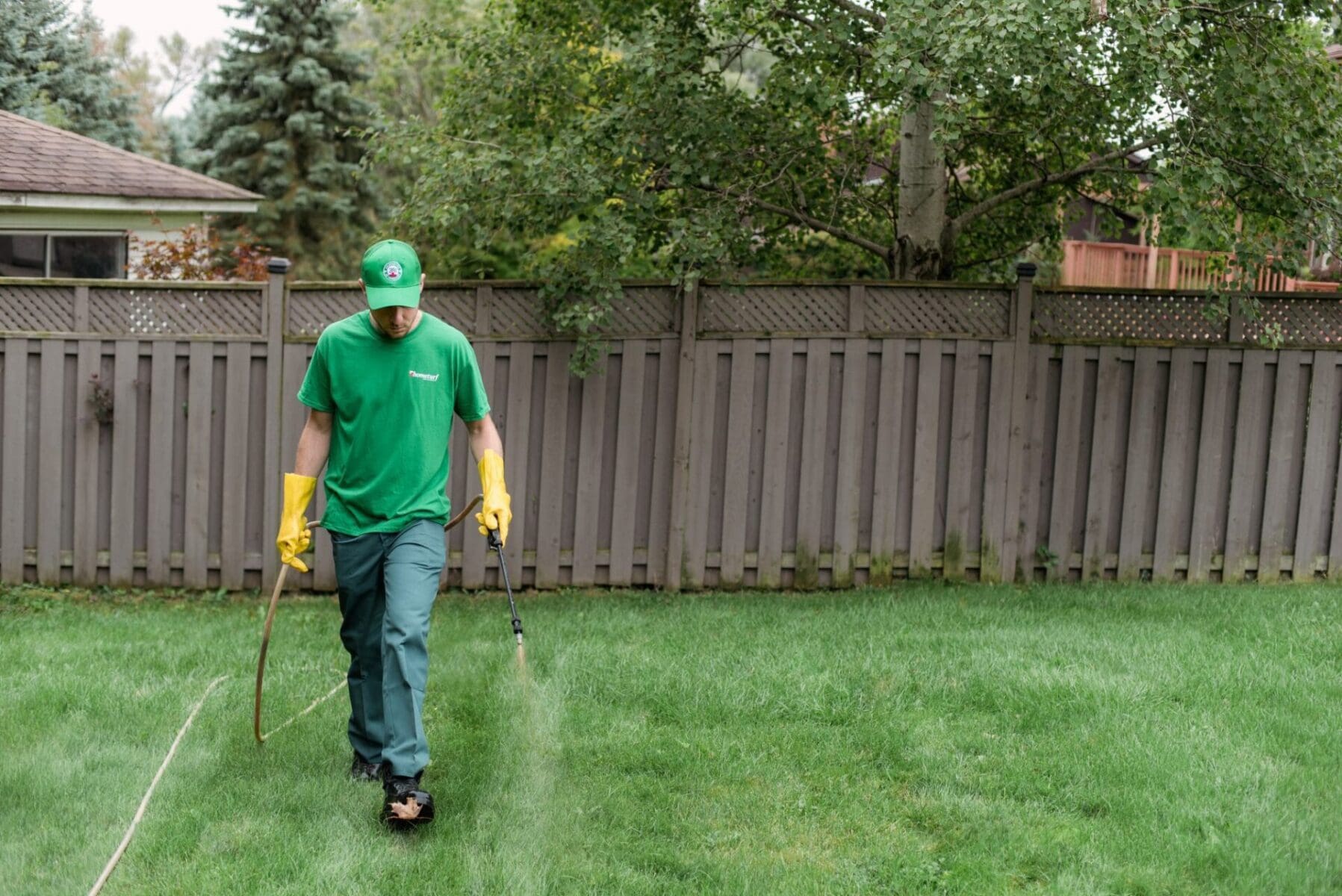 Read more about the article Reclaim Your Lawn From Weeds
