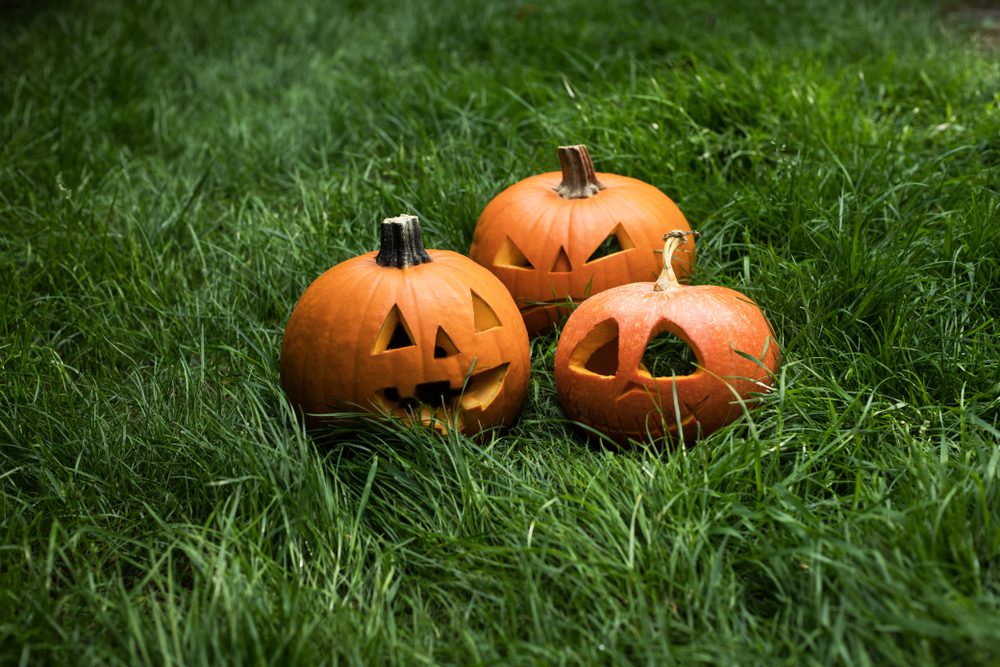 Halloween jack-o'-lanterns on a green lawn.