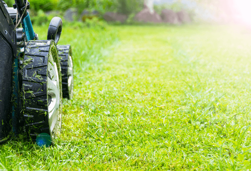 How To Start Mowing In Spring
