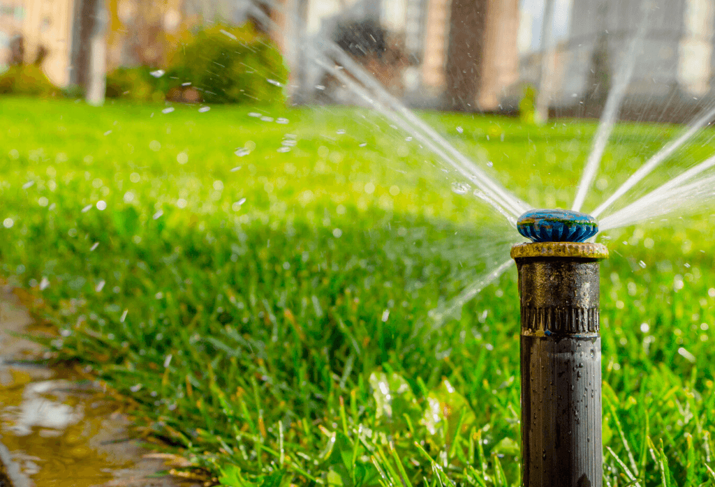 Watering Your Lawn With Sprinklers This Summer