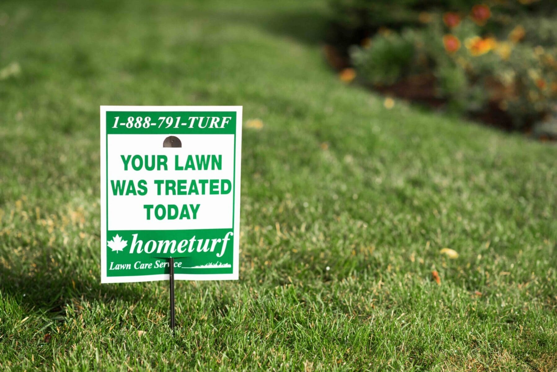 Read more about the article Hometurf’s Guide to the Perfect Summer Lockdown Lawn