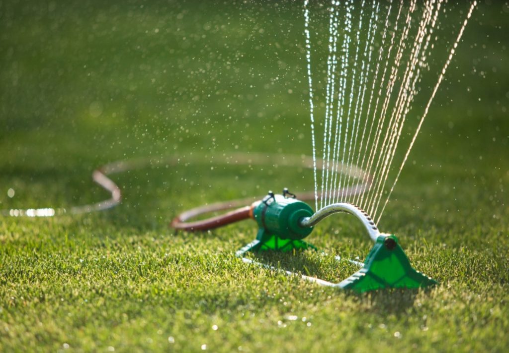 A sprinkler watering a freshly cut lawn. 