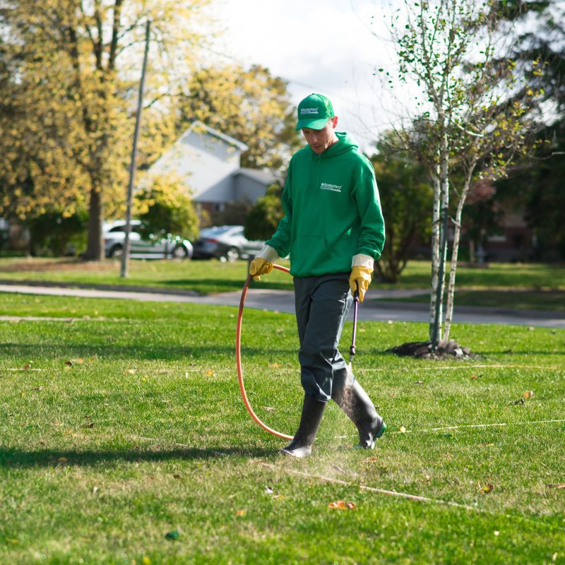 weed control lawn care