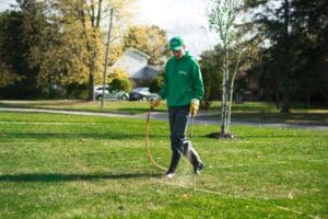 weed control lawn care