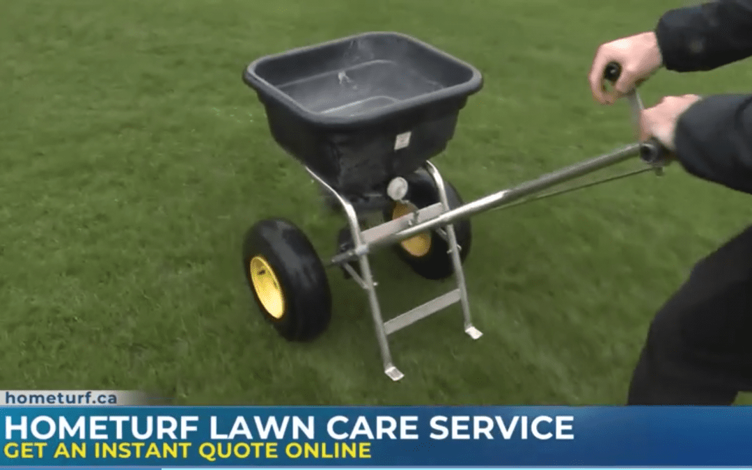 CHCH: Hometurf Lawn Care Service will have your lawn looking lush for summer