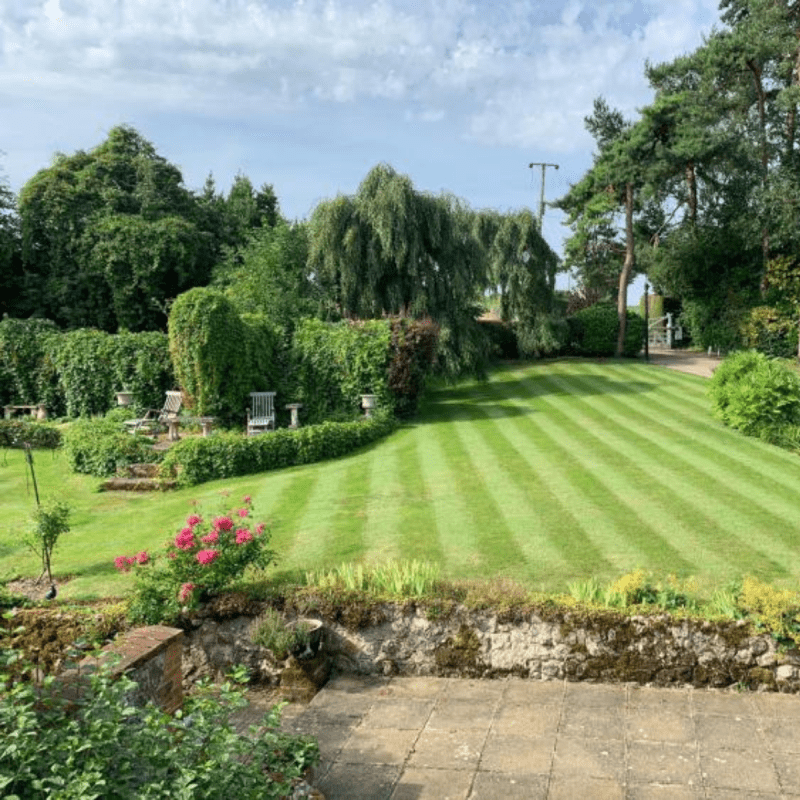 pristine lawn from hometurf