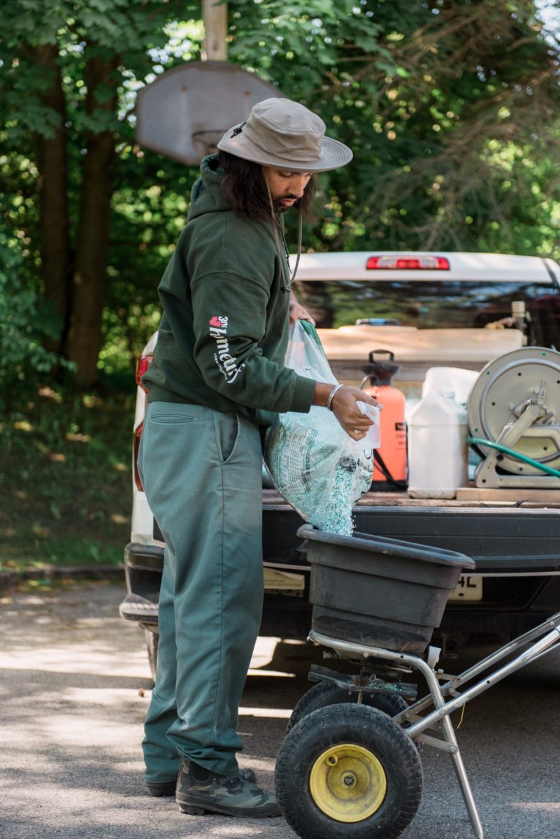 Read more about the article Transitional Lawn Care: Summer Add-on Services