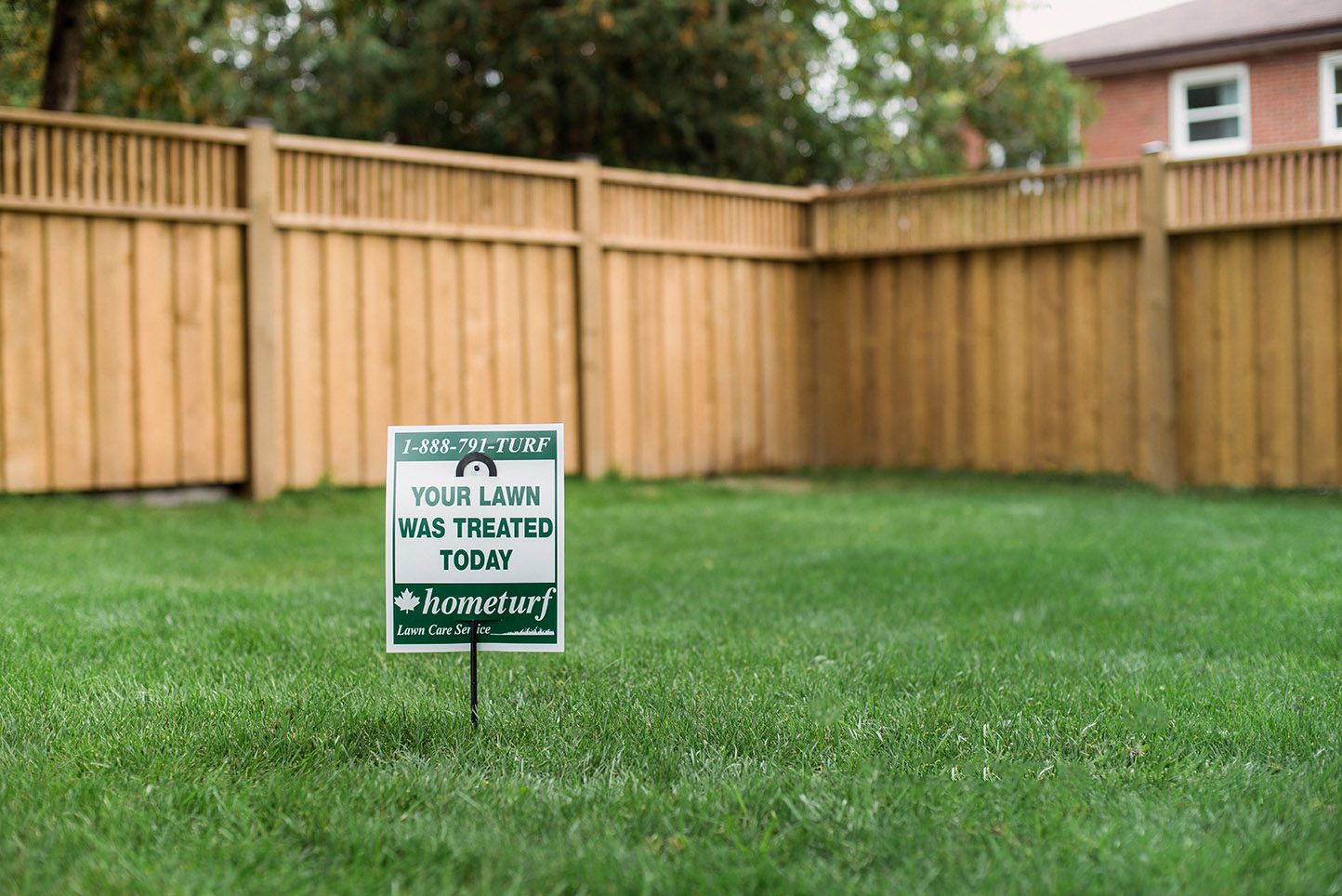 Hometurf Lawn Treated