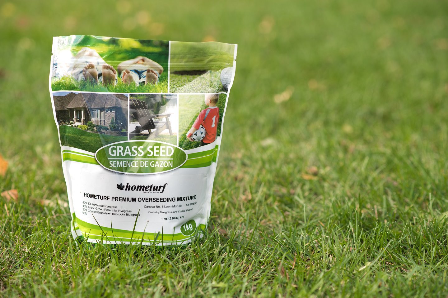 Hometurf Grass Seed