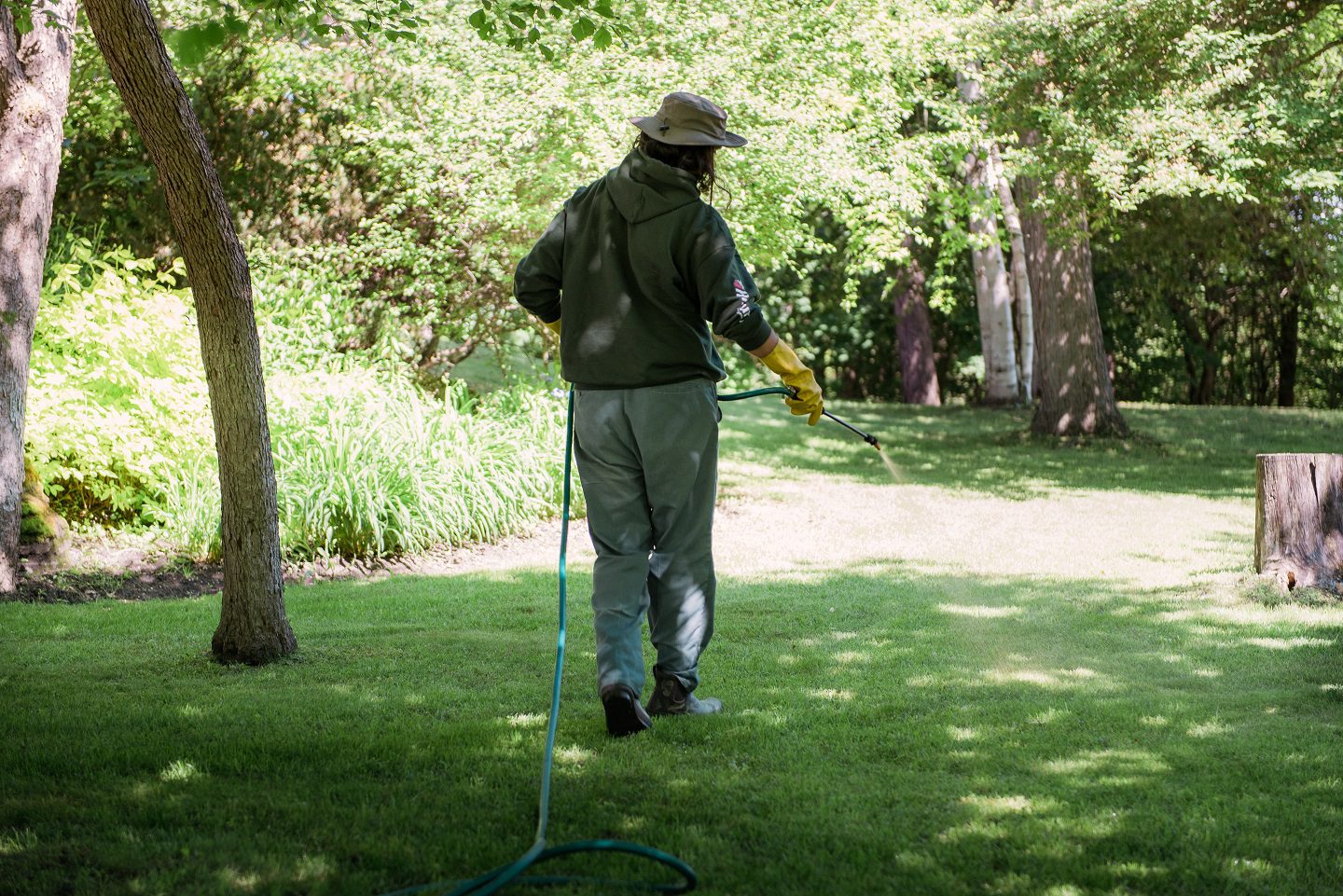 Hometurf expert lawn spray