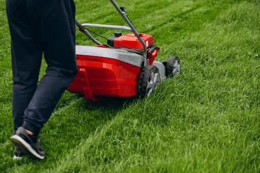 Mowing the lawn too short