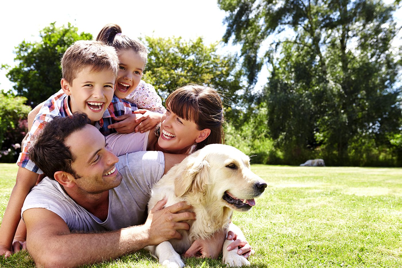 Read more about the article Lawn Pests: How to Keep Your Pets Safe from Backyard Dangers
