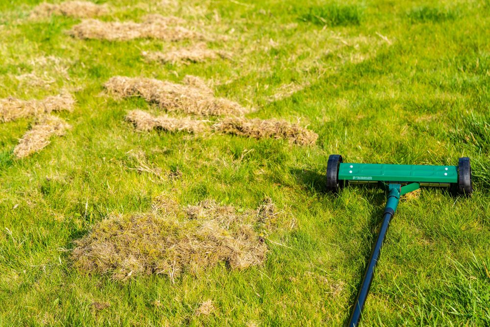 Read more about the article Essential Spring Lawn Care Checklist