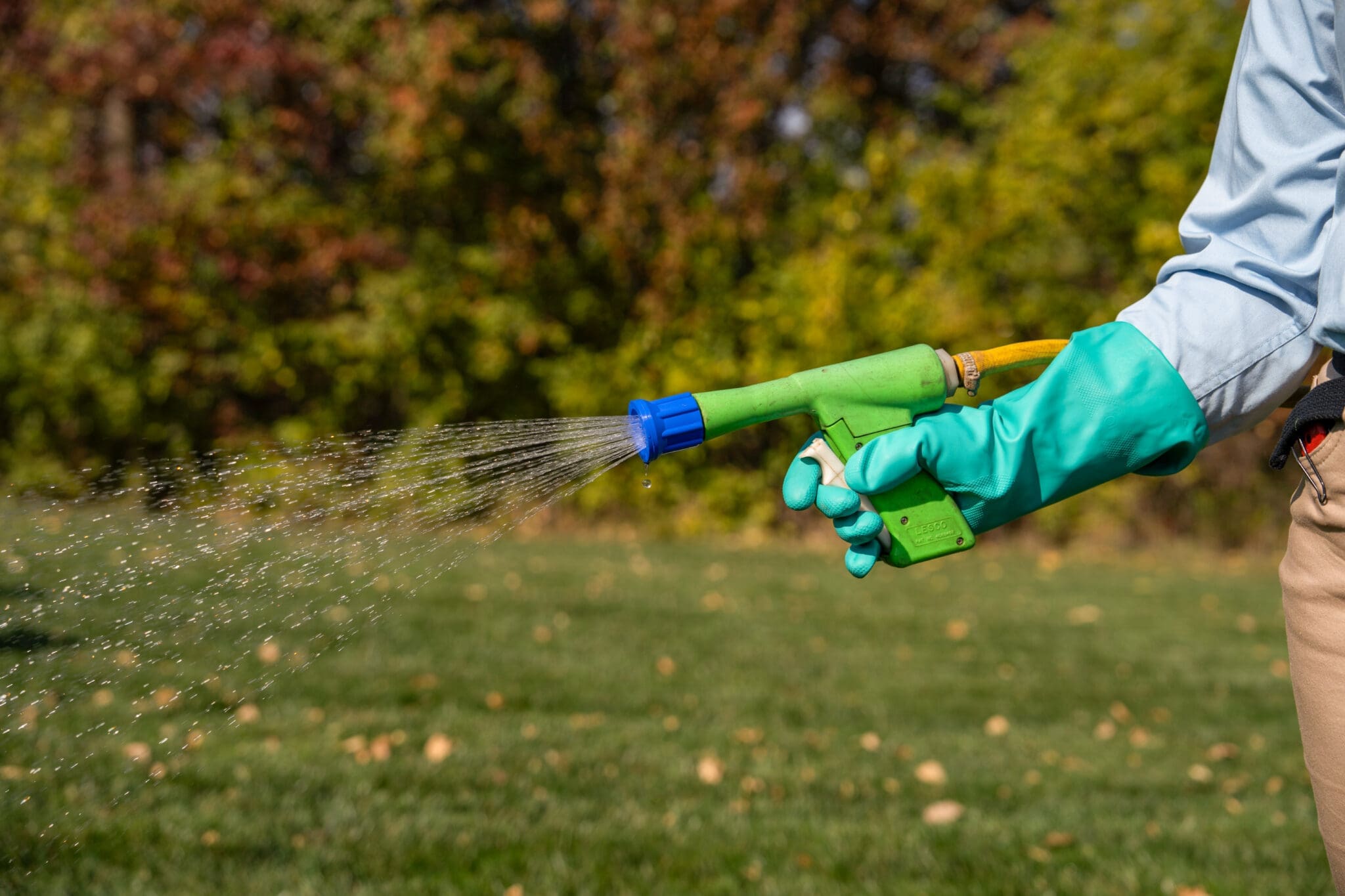 Crabgrass Control in Ontario - Hometurf