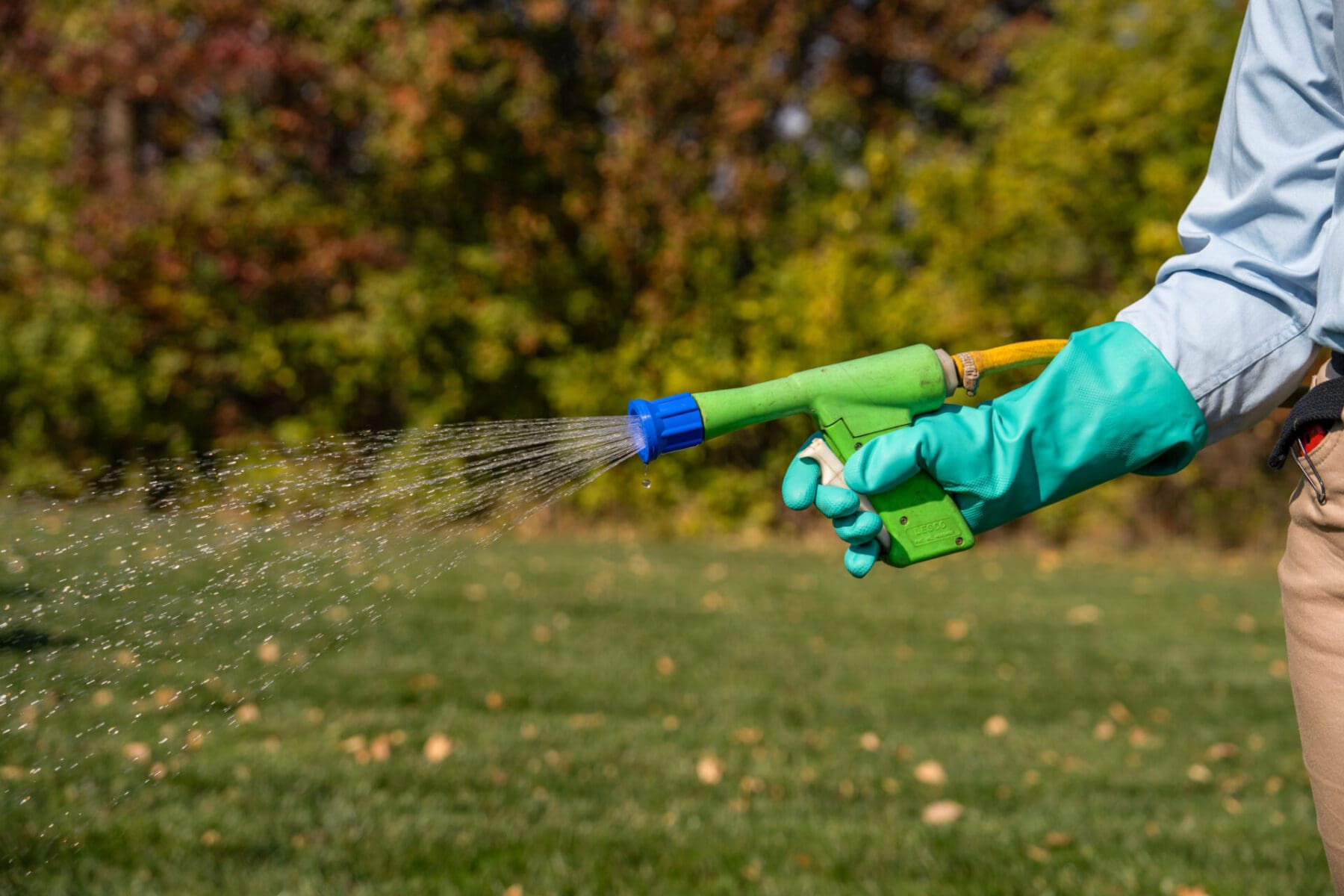 Read more about the article Why You Need a Lawn Care Plan This Year