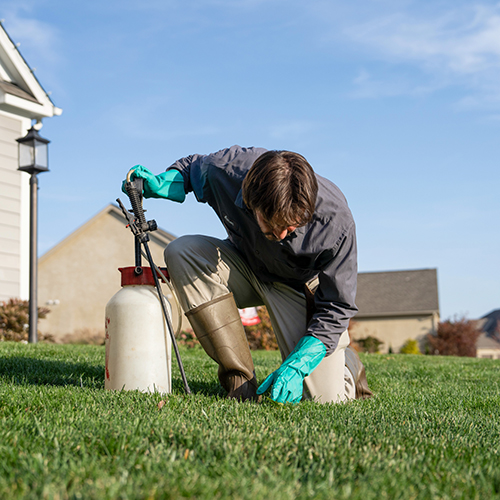 Read more about the article Goodbye Snow, Hello Lawn Care
