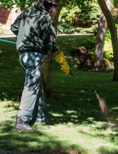 Lawn technician spraying fertilizer and weed control