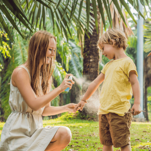 How-to-Get-Rid-of-Mosquitoes-in-Backyard How-to-Get-Rid-of-Mosquitoes-in-Backyard