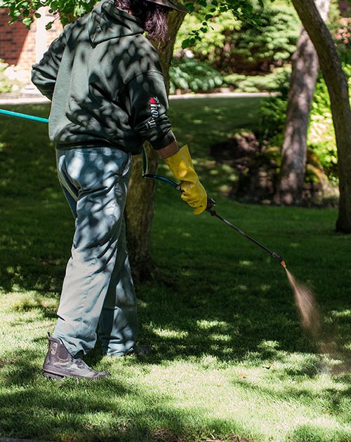 Lawn Tech Spray Lawn technician spraying fertilizer and weed control