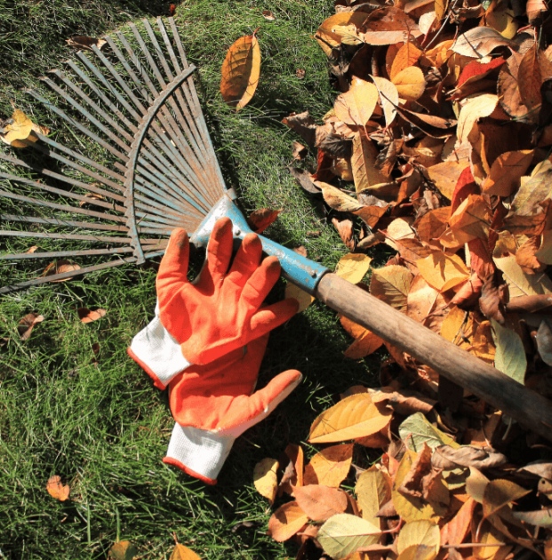 To Rake or Not to Rake