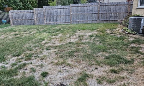 customer lawn before